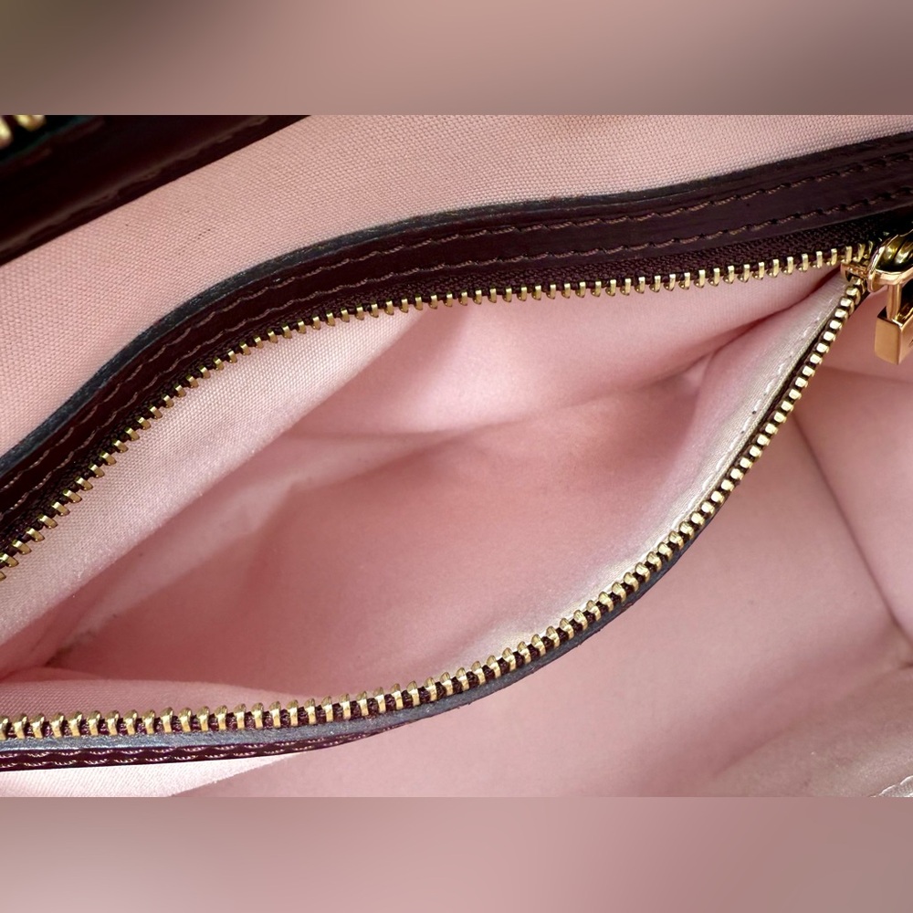 SOLD! Louis Vuitton Mini Lin Josephine Cherry bag. 🍒 - Picture 10 of 12